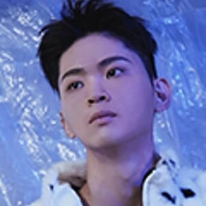 판다곰