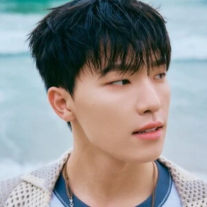 디노
