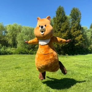 ネイビークオッカ