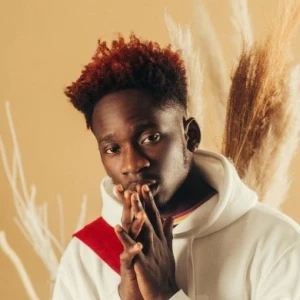 Mr Eazi