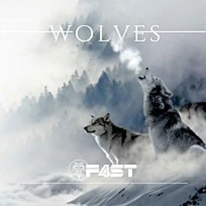 F4ST