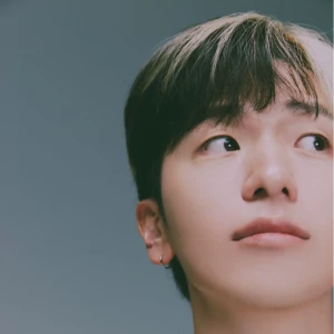 폴카이트