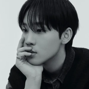 옵션
