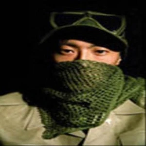 싱고투