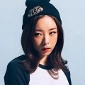 새로