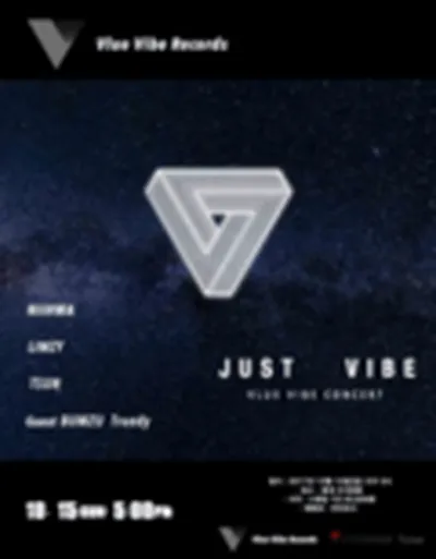 JUST VIBE