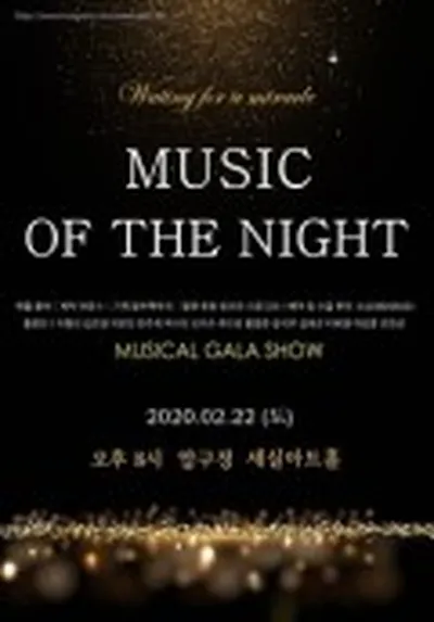 MUSIC OF THE NIGHT