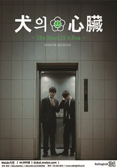 롤링 31주년 기념공연 산만한시선 단독 콘서트 '개의 심장'