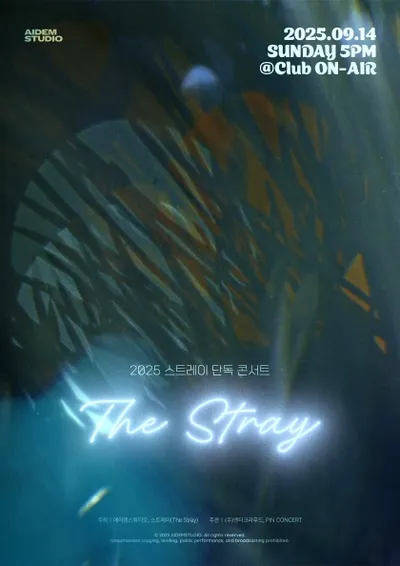 2025 스트레이 단독 콘서트‘The Stray’